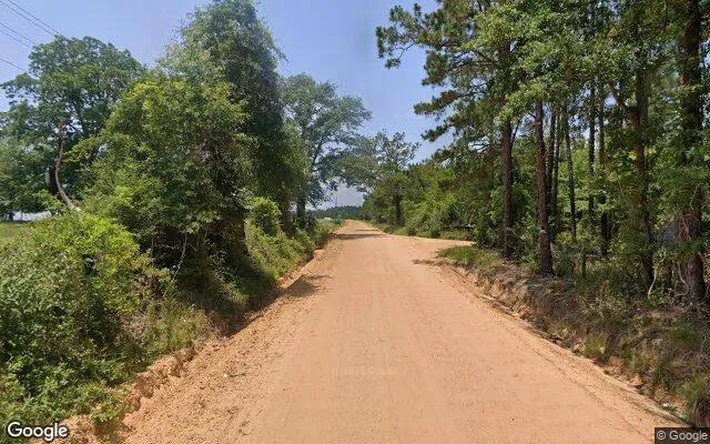 Decorative background for 74.6 Acres in Eastman - Dodge County, GA image 5