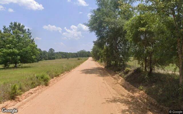 Decorative background for 74.6 Acres in Eastman - Dodge County, GA image 6