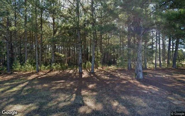 0.98 Acres in White Plains - Greene County, GA in Greene County, Georgia