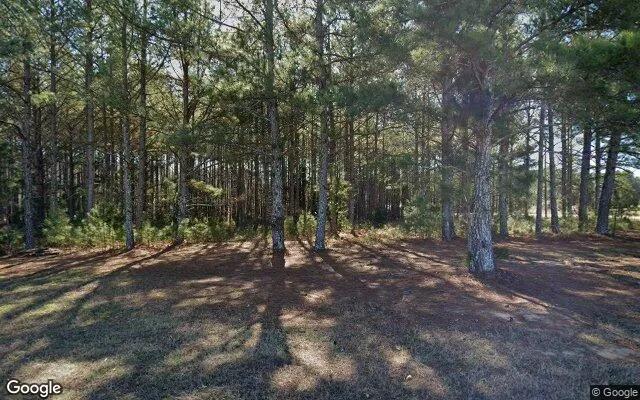 0.98 Acres in White Plains - Greene County, GA - Image 4