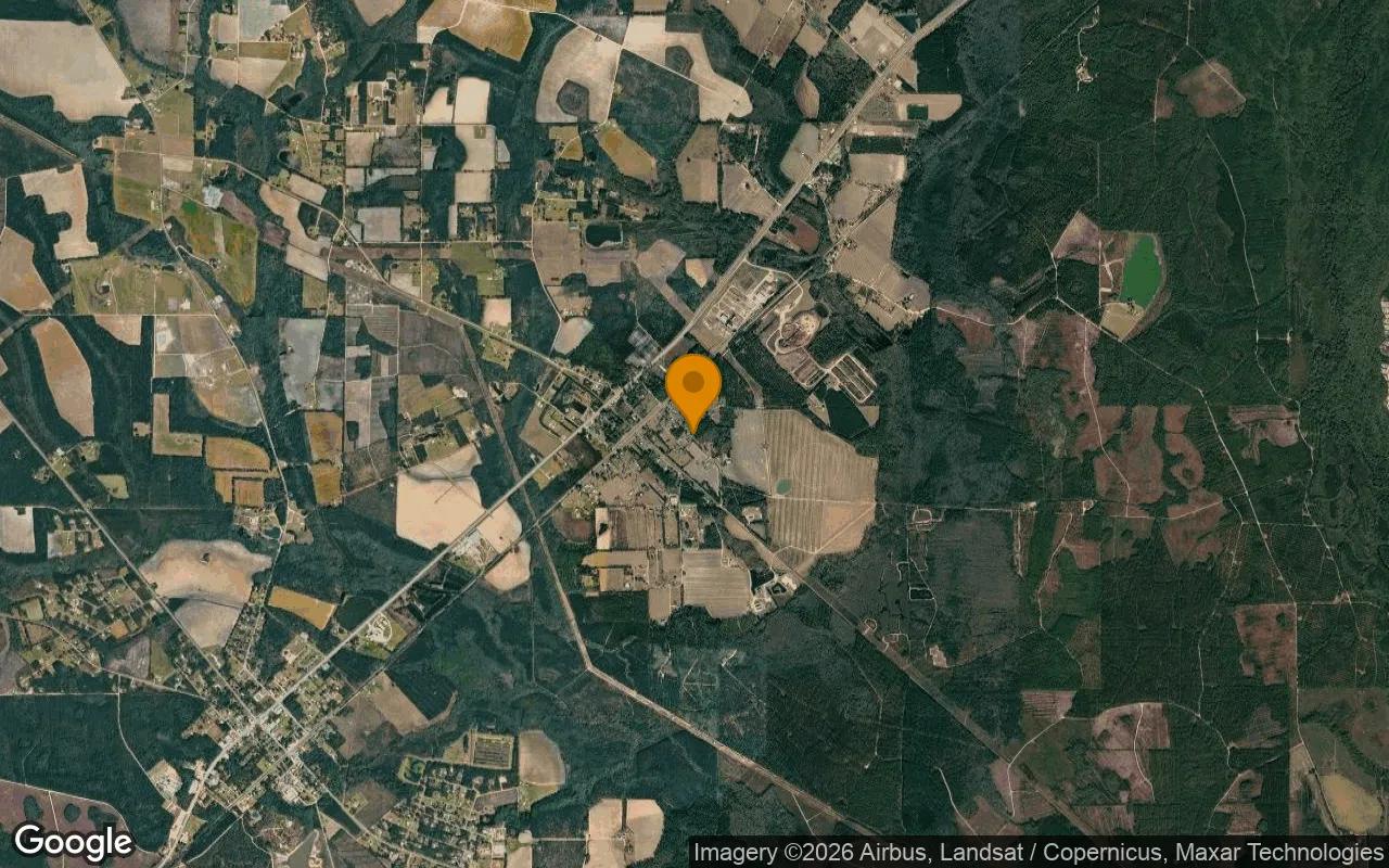 0.44 Acres in Offerman - Pierce County, GA - Image 3