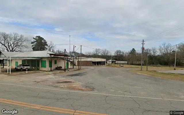 Decorative background for 0.32 Acres in Culloden - Monroe County, GA image 5