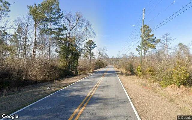 Decorative background for 0.55 Acres in Griffin - Spalding County, GA image 6