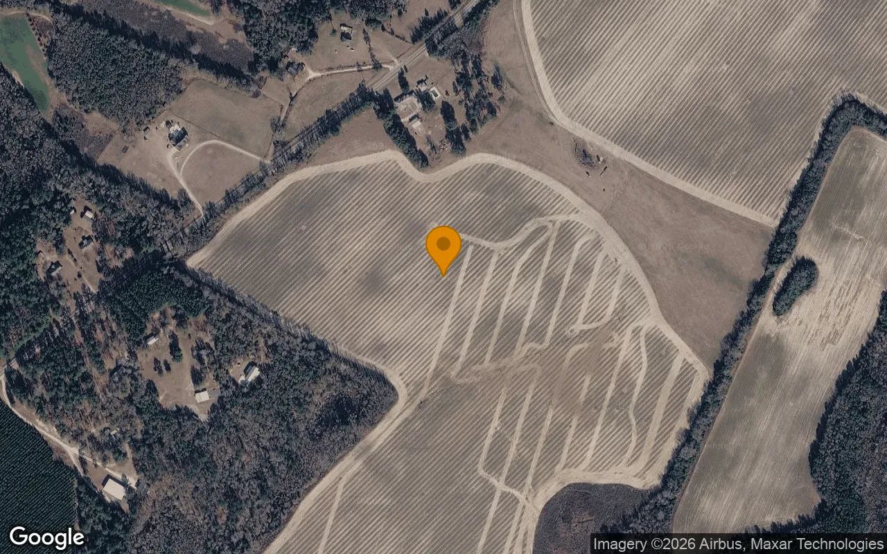 125.22 Acres in Girard - Burke County, GA in Burke County, Georgia
