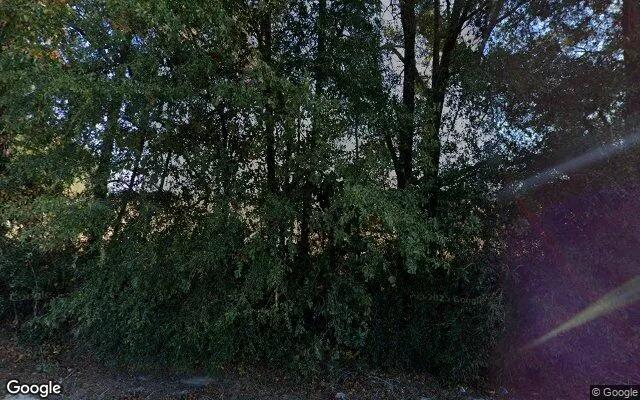 125.22 Acres in Girard - Burke County, GA - Image 4