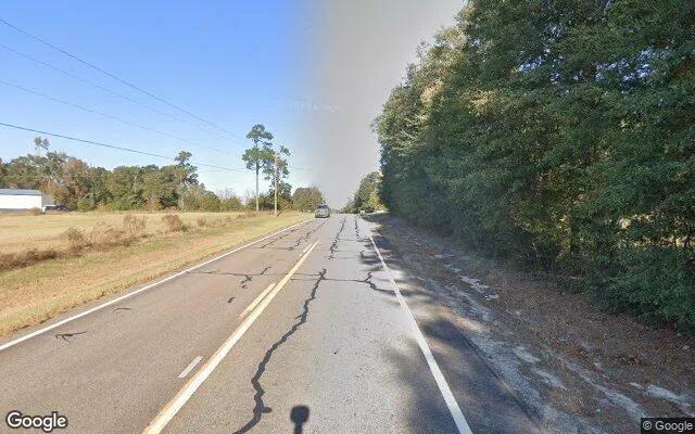 Decorative background for 125.22 Acres in Girard - Burke County, GA image 5