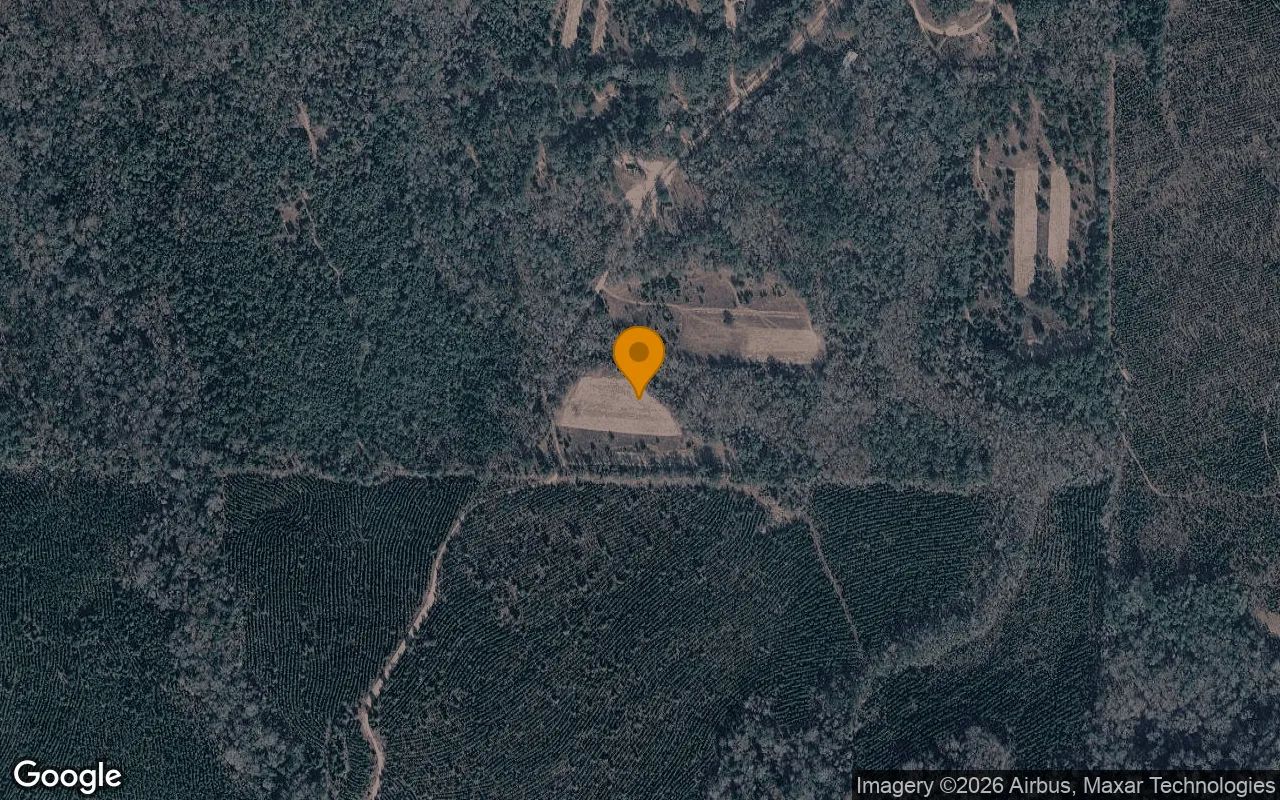 35.71 Acres in Coleman - Randolph County, GA in Randolph County, Georgia