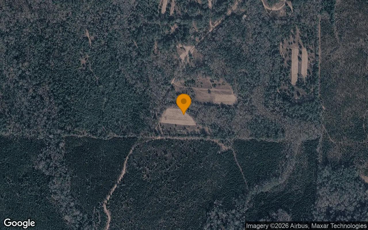 35.71 Acres in Coleman - Randolph County, GA - Main image