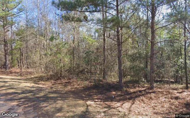 Decorative background for 35.71 Acres in Coleman - Randolph County, GA image 5