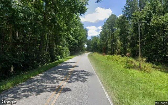 Decorative background for 0.3 Acres in Perkins - Jenkins County, GA image 5