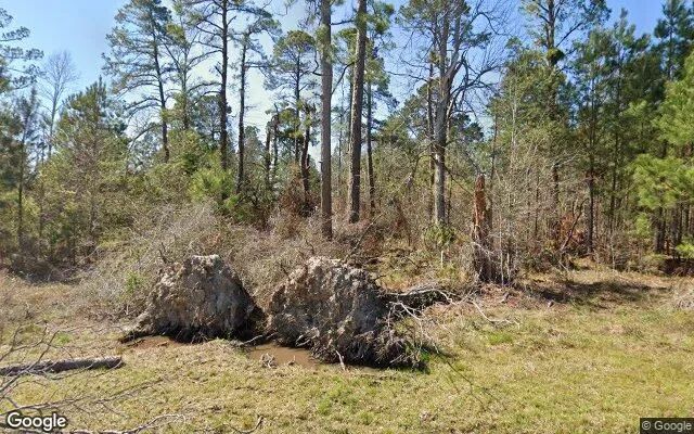 1.58 Acres in Garfield - Emanuel County, GA in Emanuel County, Georgia
