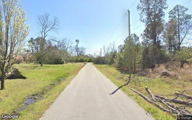 Decorative background for 1.58 Acres in Garfield - Emanuel County, GA image 5