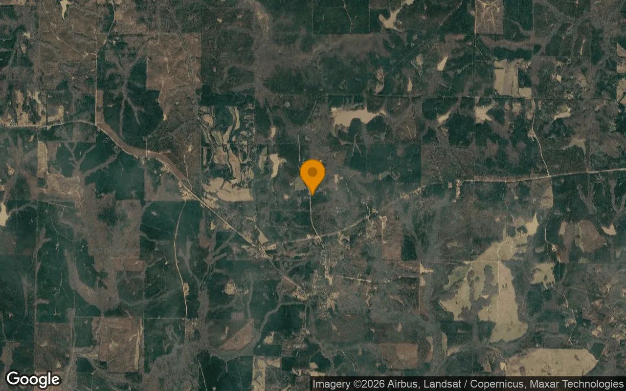0.25 Acres in Greenville - Meriwether County, GA in Meriwether County, Georgia