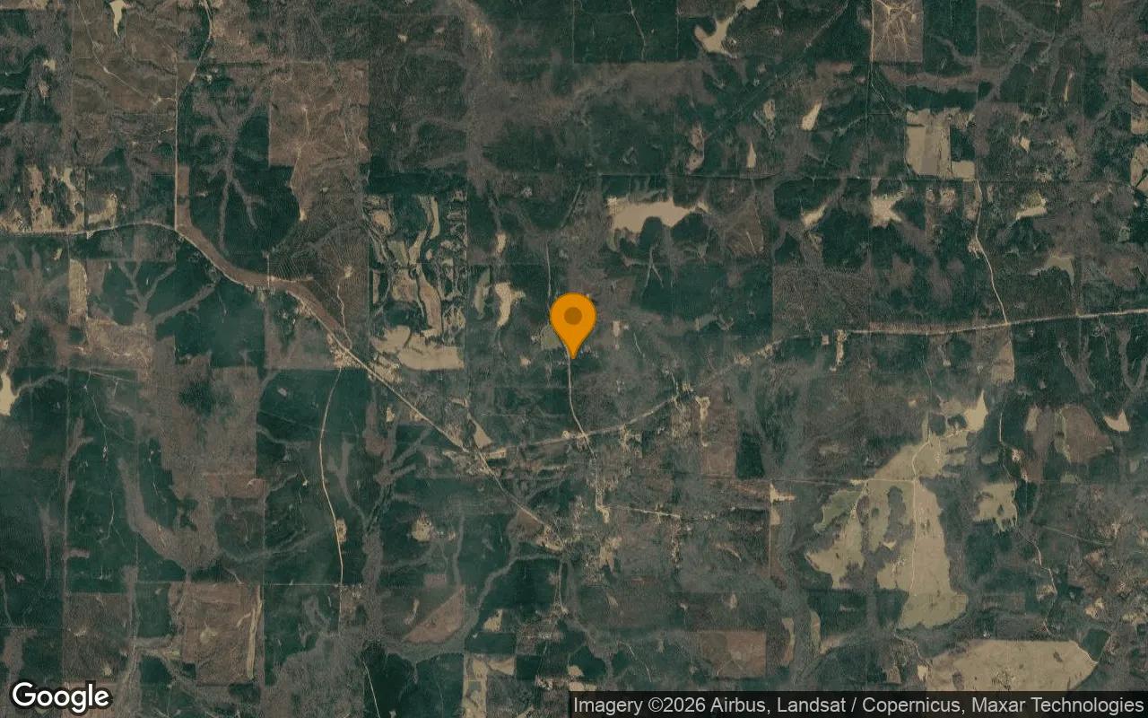 0.25 Acres in Greenville - Meriwether County, GA - Image 3
