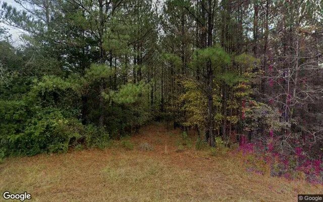 0.25 Acres in Greenville - Meriwether County, GA in Meriwether County, Georgia