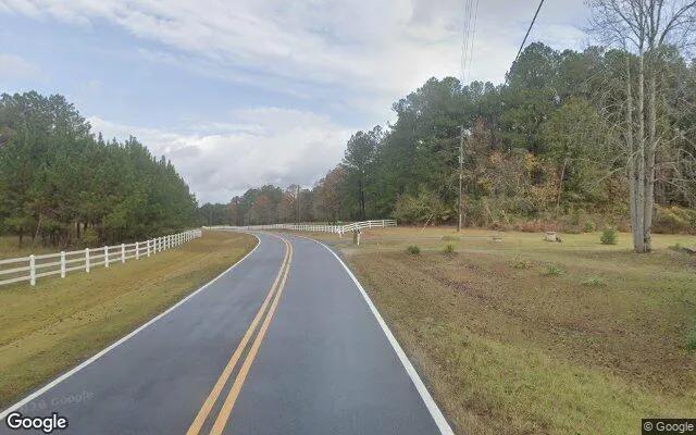 Decorative background for 0.25 Acres in Greenville - Meriwether County, GA image 5