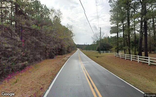 Decorative background for 0.25 Acres in Greenville - Meriwether County, GA image 6