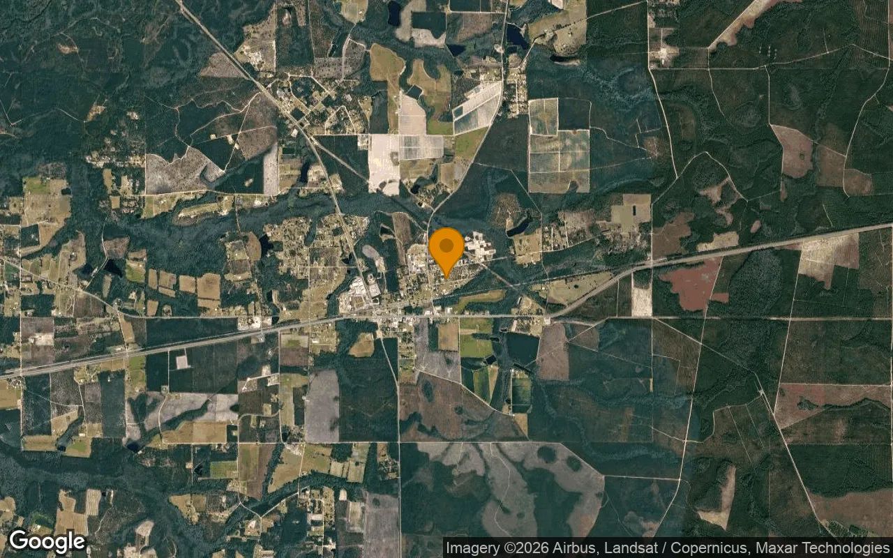 0.36 Acres in Hoboken - Brantley County, GA in Brantley County, Georgia