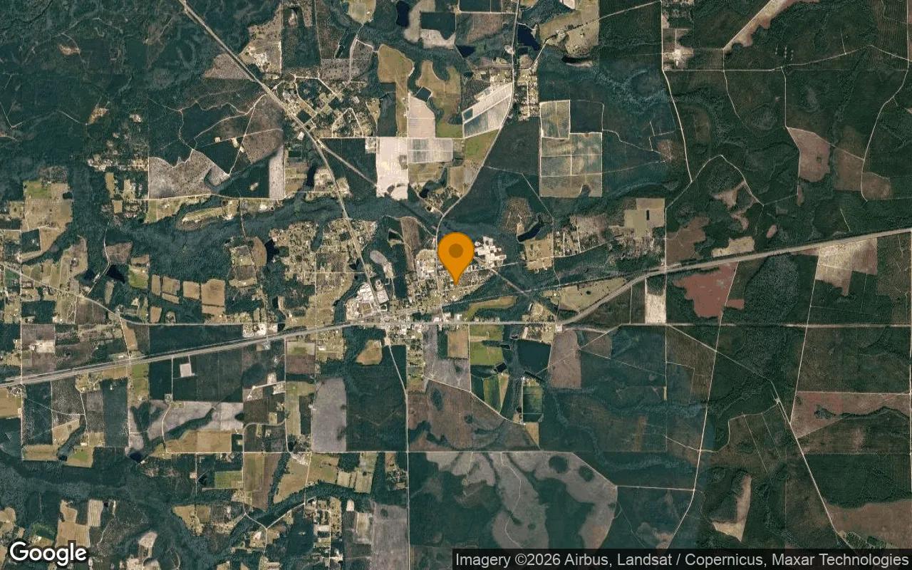 0.36 Acres in Hoboken - Brantley County, GA - Image 3