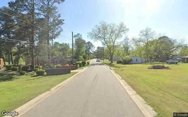 Decorative background for 1.6 Acres in Bronwood - Terrell County, GA image 6