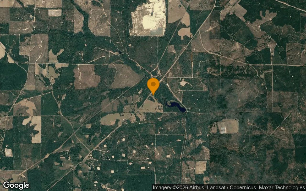 35.38 Acres in Butler - Taylor County, GA in Taylor County, Georgia