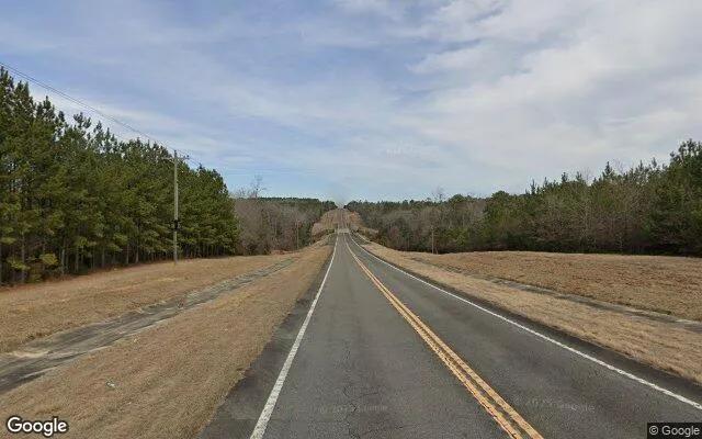 Decorative background for 35.38 Acres in Butler - Taylor County, GA image 5