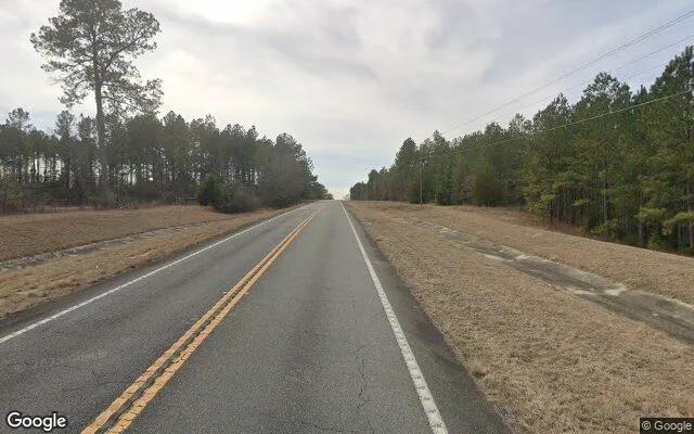 Decorative background for 35.38 Acres in Butler - Taylor County, GA image 6