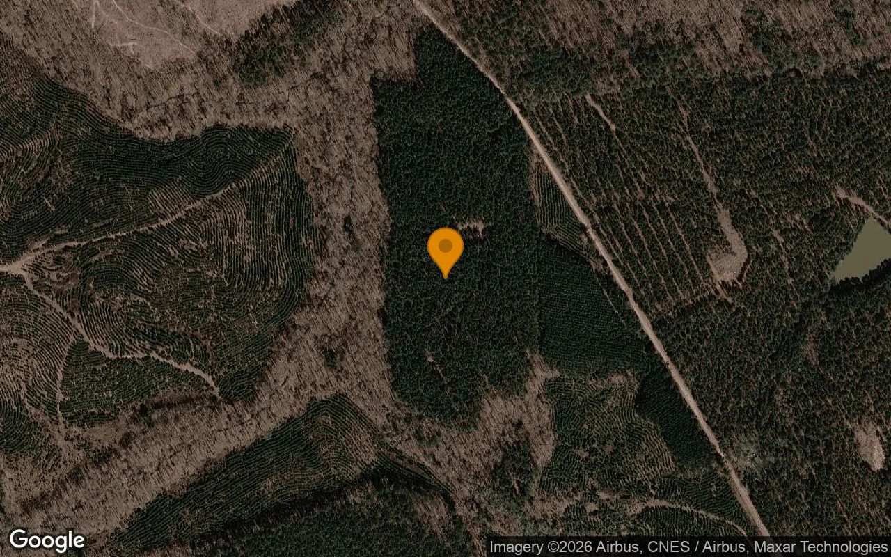 35.07 Acres in Norwood - Warren County, GA in Warren County, Georgia