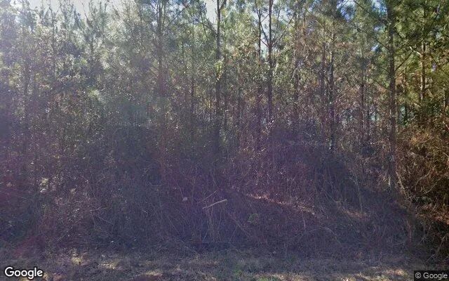 35.07 Acres in Norwood - Warren County, GA in Warren County, Georgia