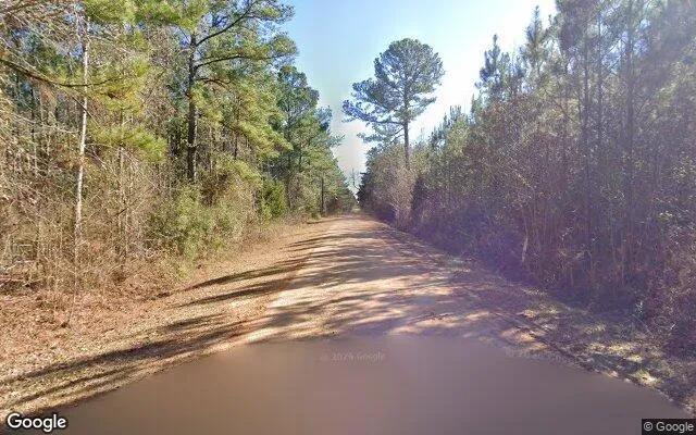 Decorative background for 35.07 Acres in Norwood - Warren County, GA image 5