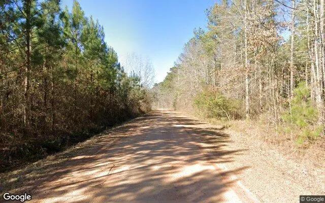 Decorative background for 35.07 Acres in Norwood - Warren County, GA image 6