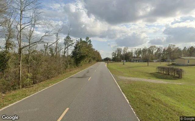 Decorative background for 0.55 Acres in Donalsonville - Seminole County, GA image 5