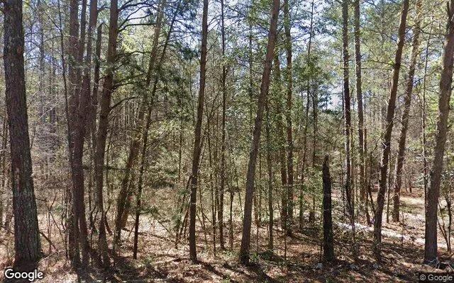 34.67 Acres in Elberton - Elbert County, GA - Image 4