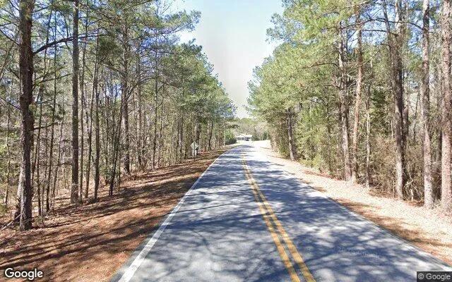 Decorative background for 34.67 Acres in Elberton - Elbert County, GA image 6