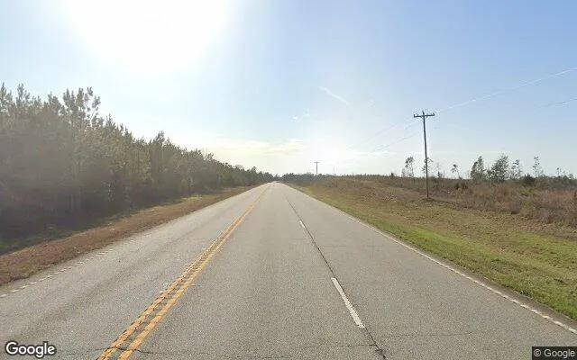Decorative background for 0.22 Acres in Morris - Quitman County, GA image 6