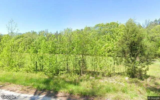 Decorative background for 34.81 Acres in Lexington - Oglethorpe County, GA image 5