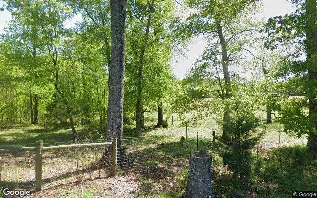 Decorative background for 34.81 Acres in Lexington - Oglethorpe County, GA image 6