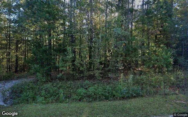 3.5 Acres in Jenkinsburg - Butts County, GA - Image 4