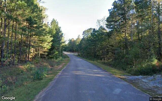 Decorative background for 3.5 Acres in Jenkinsburg - Butts County, GA image 5