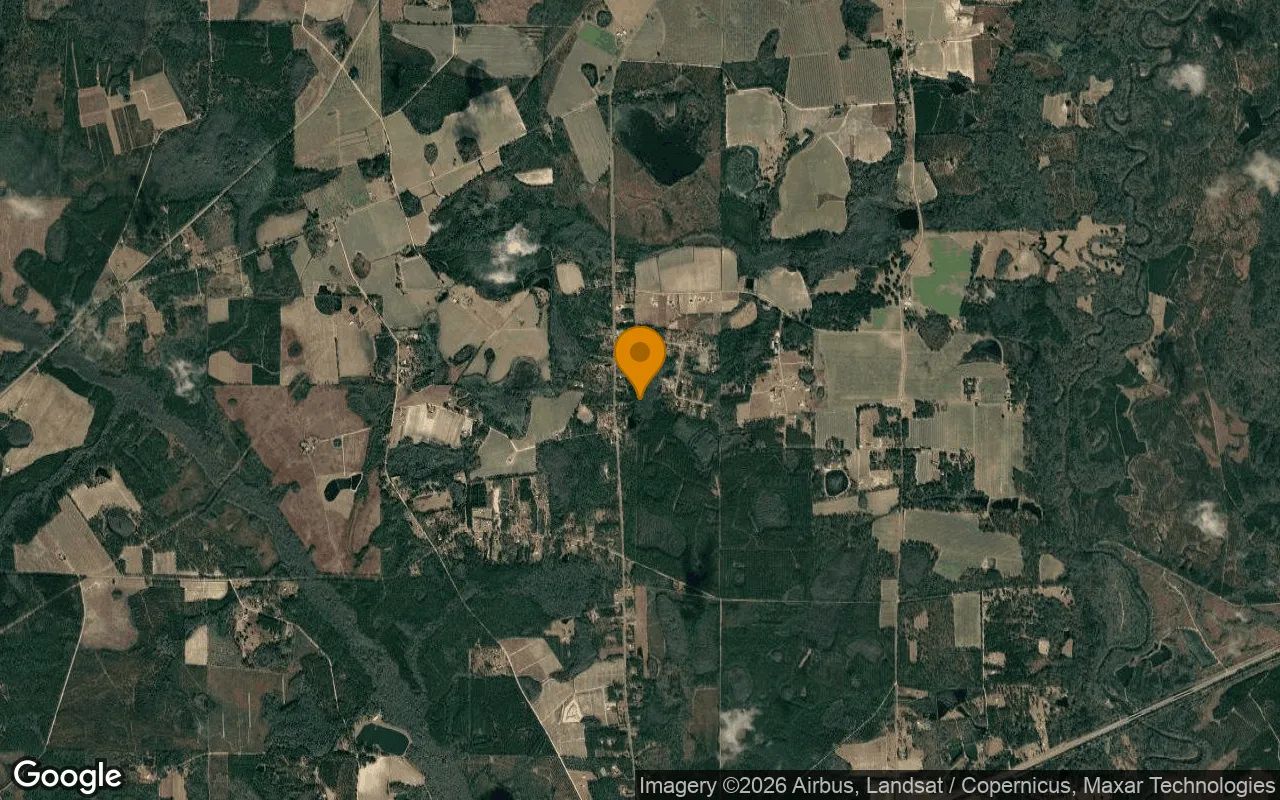 3.52 Acres in Naylor - Lanier County, GA in Lanier County, Georgia