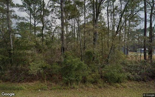 3.52 Acres in Naylor - Lanier County, GA in Lanier County, Georgia