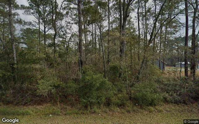 3.52 Acres in Naylor - Lanier County, GA - Image 4