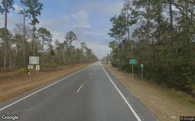 Decorative background for 3.52 Acres in Naylor - Lanier County, GA image 5