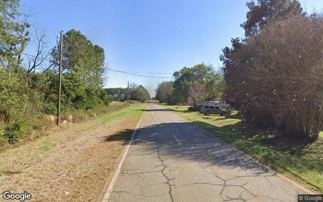 Decorative background for 0.39 Acres in De Soto - Sumter County, GA image 5