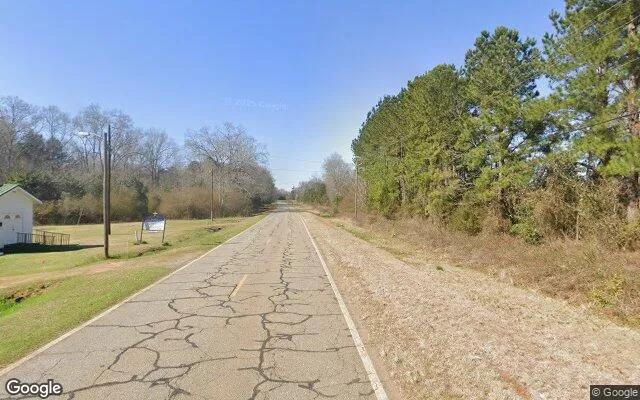 Decorative background for 0.39 Acres in De Soto - Sumter County, GA image 6