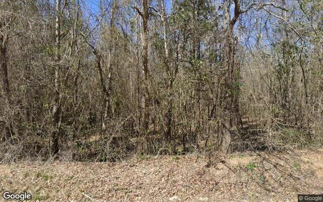 34.99 Acres in Warrenton - Warren County, GA - Image 4