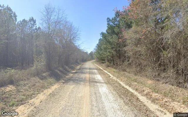 Decorative background for 34.99 Acres in Warrenton - Warren County, GA image 5
