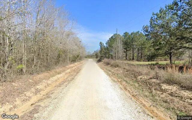 Decorative background for 34.99 Acres in Warrenton - Warren County, GA image 6
