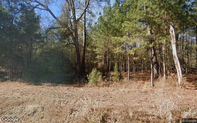 0.48 Acres in Oakfield - Worth County, GA in Worth County, Georgia