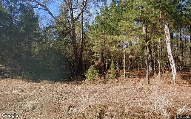 0.48 Acres in Oakfield - Worth County, GA - Image 4